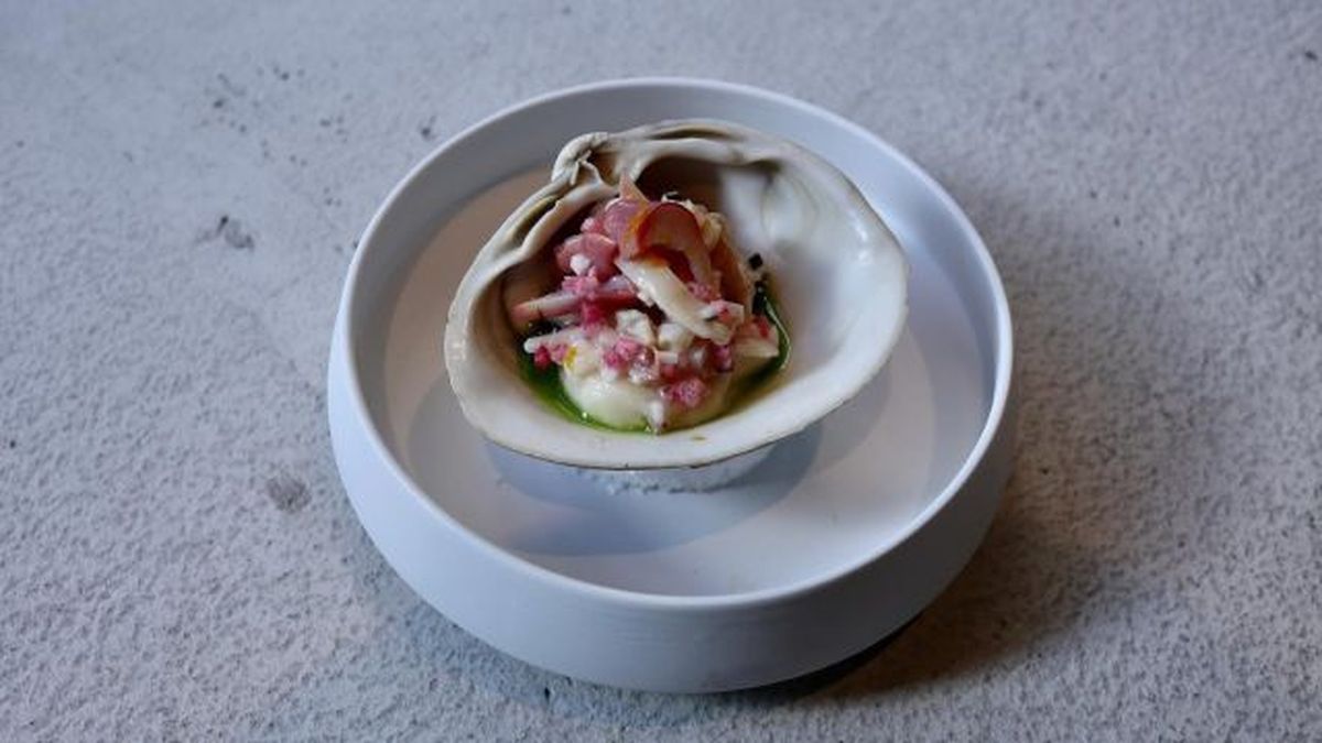 Best Kiyosumi-Shirakawa Restaurants: 6 Meals Beyond the Coffee Map