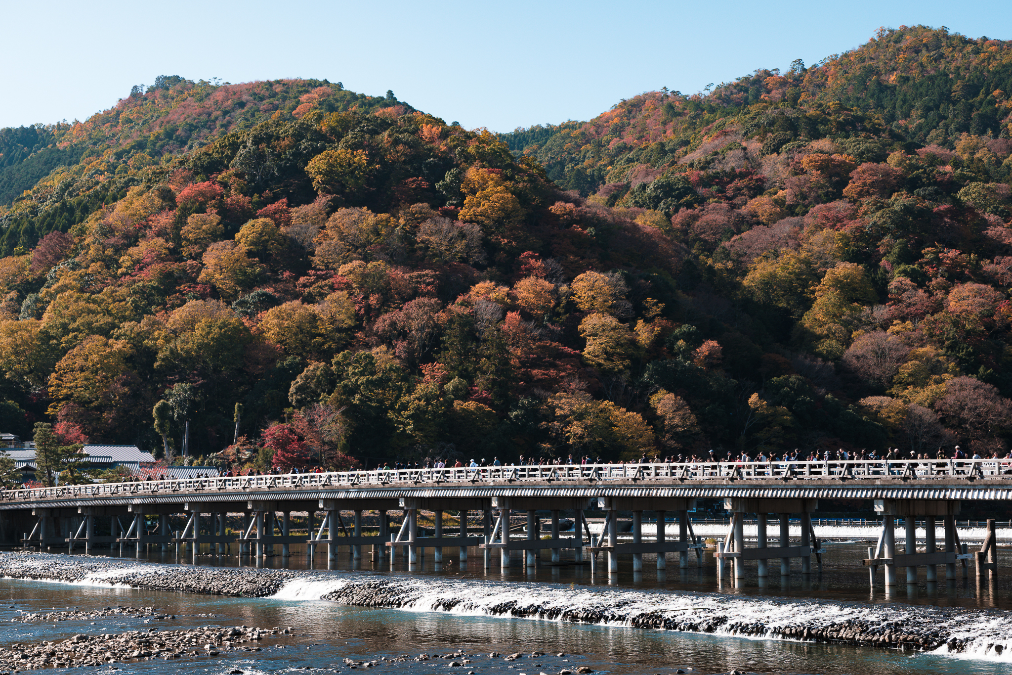 Arashiyama Guide: Bamboo, Temple, River, and Monkeys