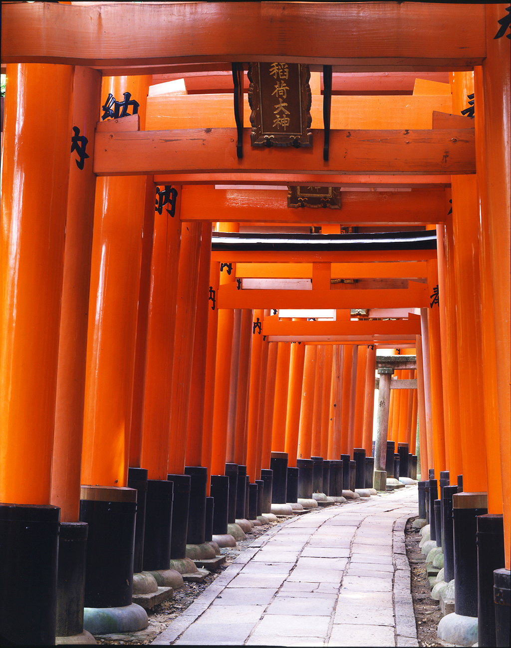 Fushimi Inari Guide: How Far to Hike and When to Go