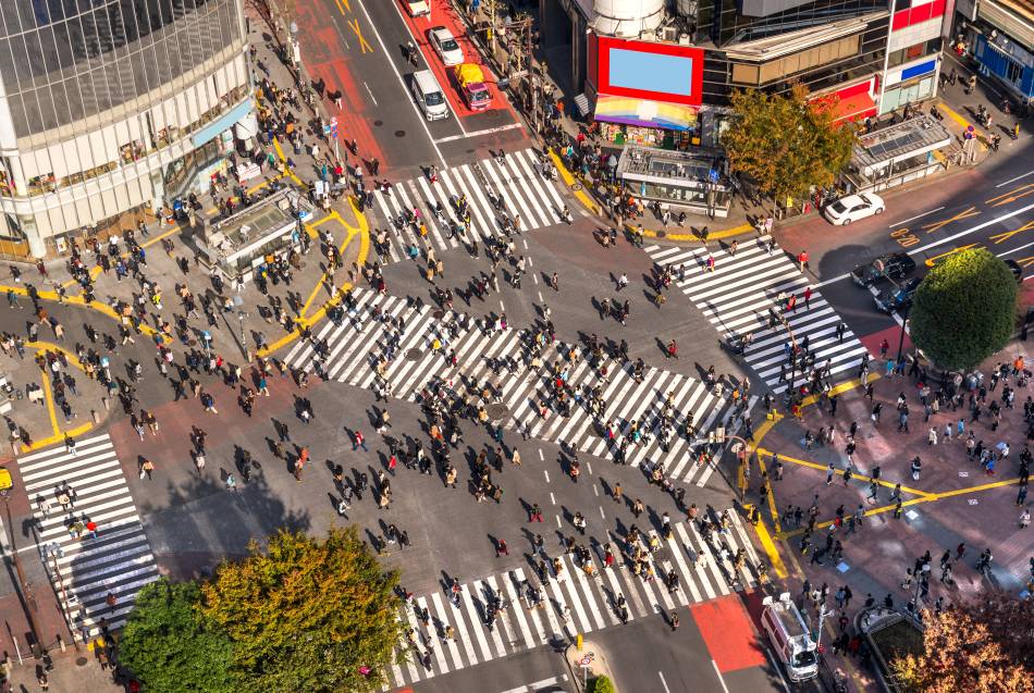 Shibuya to Harajuku Walk: Cross Tokyo's Youth-Culture Districts in Half a Day