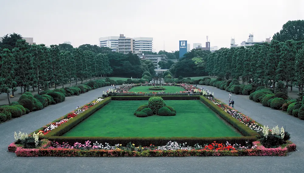 Should You Stay in Shinjuku? Choose the West, East, or South Side