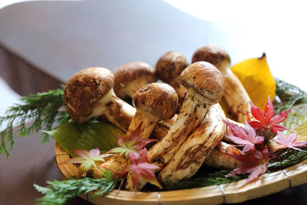 Best Yanesen Restaurants: 6 Meals for Temple Streets and Old Tokyo