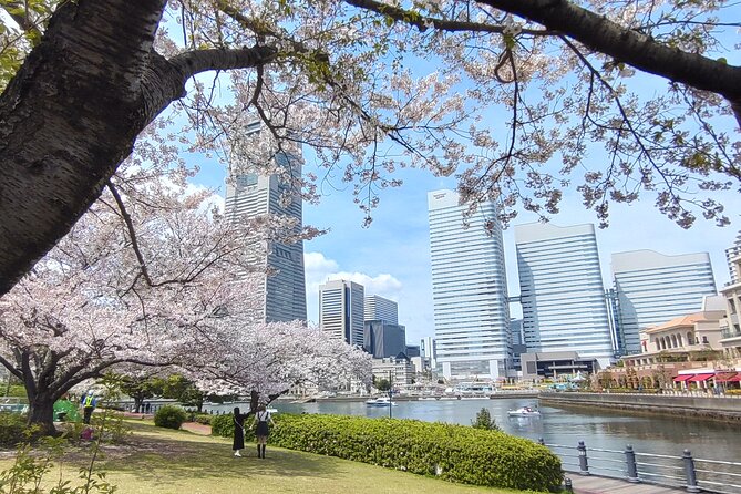 Yokohama skyline framed by cherry blossoms